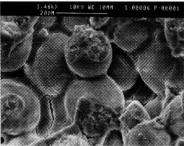 Figure  2.14:  Neck  in  a sample  printed  with silica binder and  fired to  900 0 C