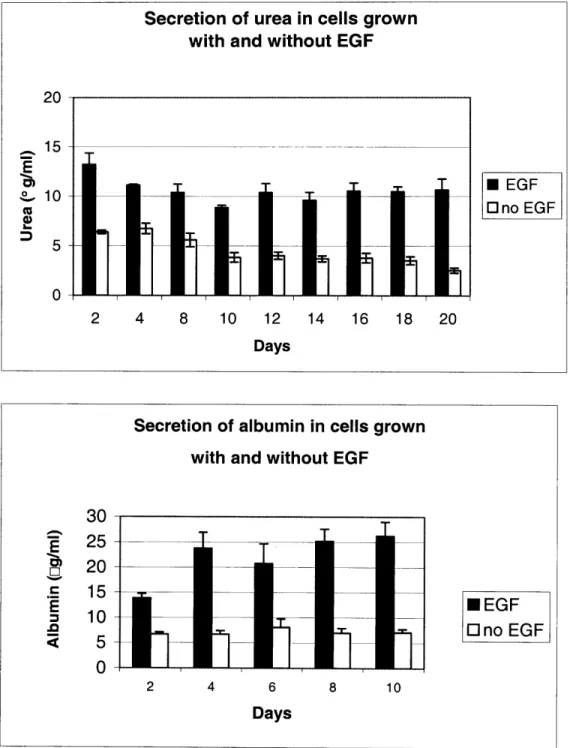 Figure 2:  Effect  of EGF on the  secretion  of urea and albumin