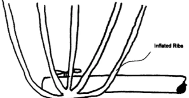 Fig.  5:  Bag shape can be maintained  through  the use of inflatable  ribs.