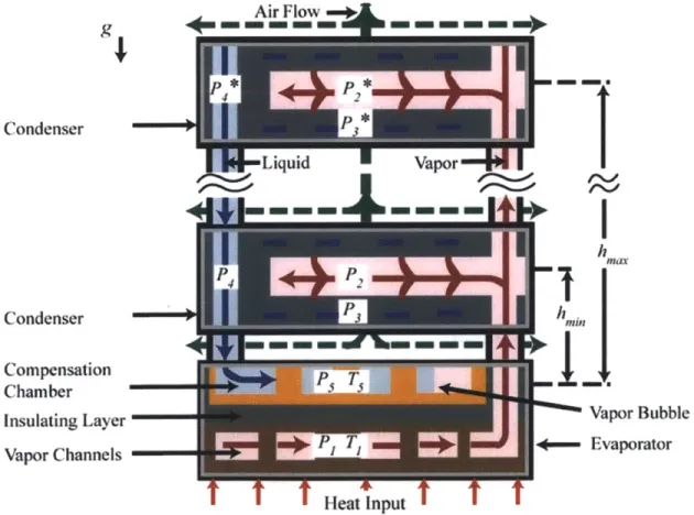 Figure 2-1: Schematic of loop heat pipe operation showing evaporator, the uppermost and lowermost parallel condenser sections, compensation chamber, and liquid and vapor lines