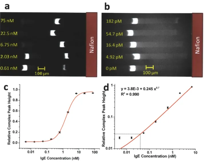Figure  2.8:  a,b)  Experimental  results  for  multiplexed  concentration  enhanced  aptamer  affinity  probe electrophoresis  assay  for detecting  IgE  in  10%  donkey  serum, c)  Dose response curve  of anti-IgE aptamer with IgE  spiked  in  10%  serum