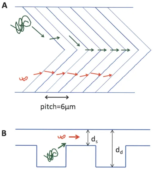Figure  3.2:  a)  Schematic  of  the  HNA  device  consisting  of  periodic  nanofilter  array  shaped  like  a herringbone