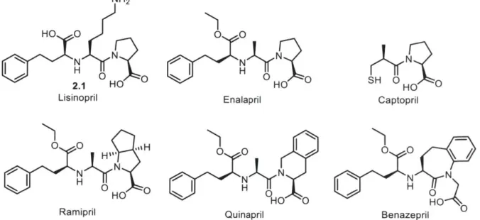 Figure  2-1.  Selected examples  of ACE  inhibitors  approved  by the  FDA.