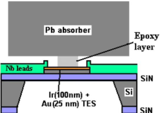 Fig. 1. The cross sectional view of the composite gamma-ray detector.