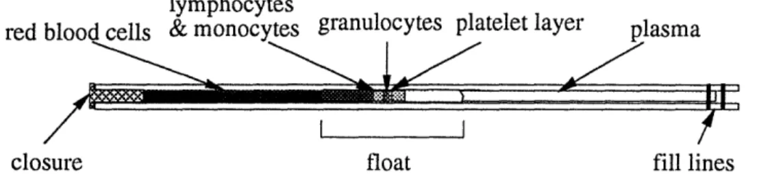 Figure 1.2.  Centrifuged Blood  Tube (Battles, 1993)