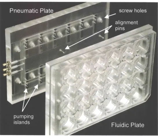 Figure  2.3: The fluidic and  pneumatic plates are  screwed together to make  the bioreactor