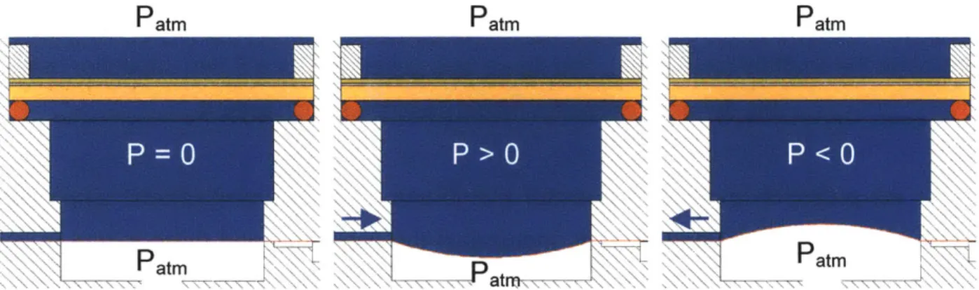 Figure 2.20: The  fluidic capacitor in a)  no  flow,  b)  flow up through  scaffold, and  c) flow down  through  scaffold
