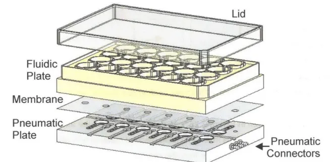 Figure 2.27:  The  bioreactor assembly consists of a  reactor plate, a  pumping  plate,  a flexible  membrane  and  a  lid