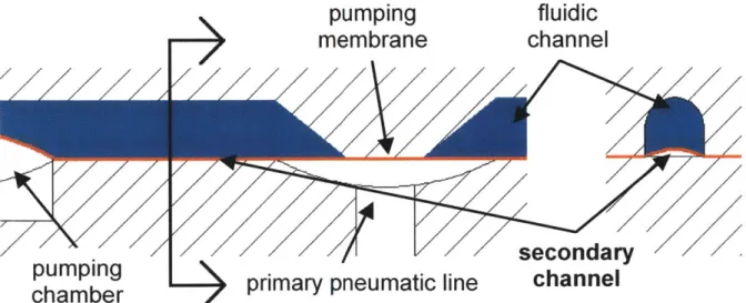 Figure  2.31: A secondary  channel  runs along  the fluidic lines underneath  the  pumping membrane.