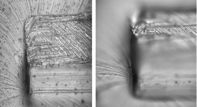Figure 6.  Extended depth of field picture (left)  juxtaposed against a raw image frame taken from the high speed camera