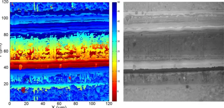Figure 10.  Height map and extended depth of focus image of channel in transparent PMMA plastic