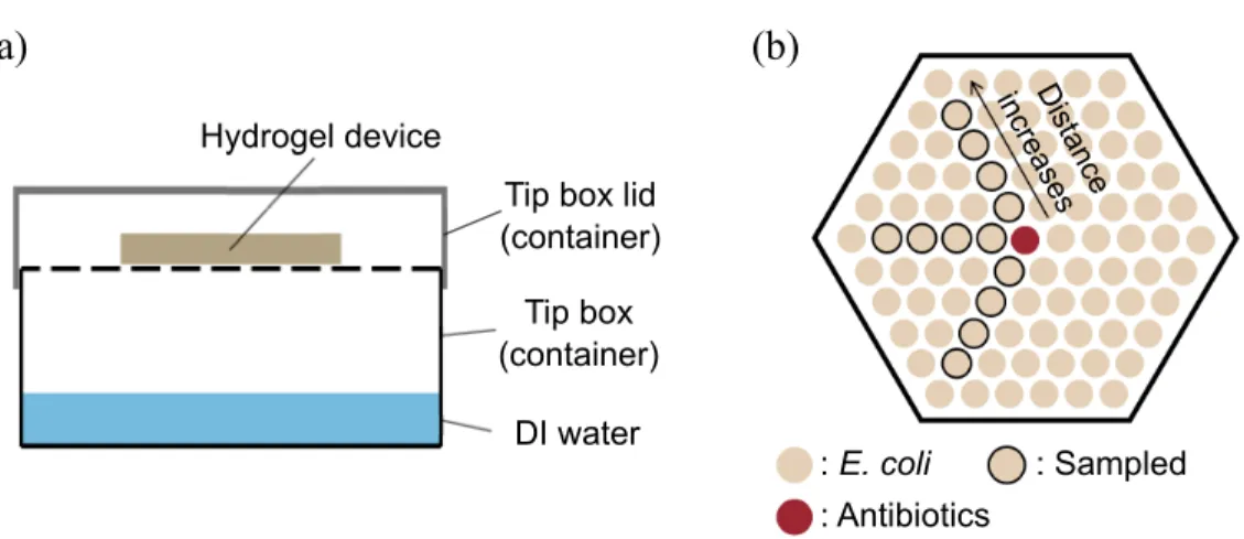 Figure 3-1: Experimental setup for incubating E. coli in hydrogel-based di↵usion assay