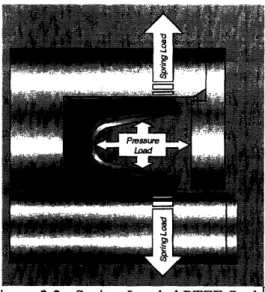 Figure  2.2:  Spring-Loaded  PI1E  Seal  L'J