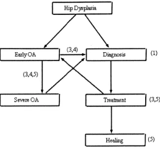 Figure  1.1  Flow  Chart  of  OA  progression  and  treatment,  with  the  thesis  chapter involvement in parenthesis.