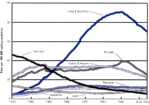 Figure  1.1:  Age-adjusted  Cancer Death Rates  for Males  in the US,  1930-2004.  This graph,  reproduced  from the American  Cancer  Society 2008  Cancer Facts  &amp; Figures Report,  shows that cancer  of the  lung and bronchus  remains  one of the  lea