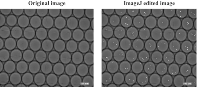 Figure 2-2: Cell counting enhanced by ImageJ functionality. Images of droplets, which were generated using various initial cell concentrations, were captured using 10X light microscopy
