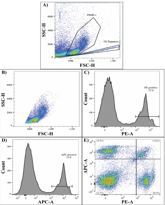 Figure 3-5: Antibody tagging successful in chip protocol. In order to test the efficacy of antibody tagging when using the chip, PBMC and antibody droplets were used in chip experimentation