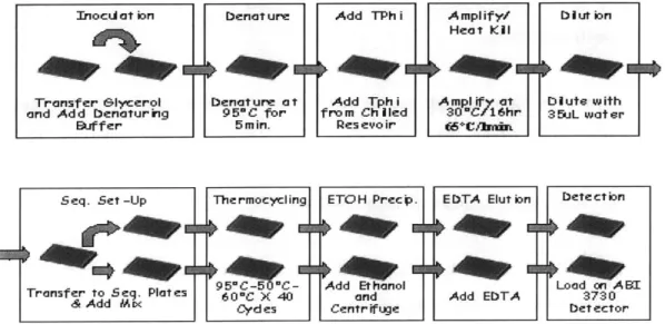 Figure  1.3  Complete  Sequencing Process  at  the Broad Institute