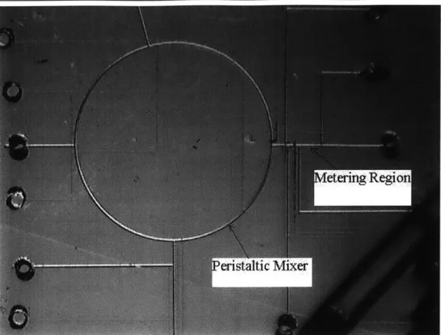 Figure 2.2  Microfluidic  Device  based  on Design  1