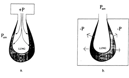 Figure 2:  Methods  of ventilation.  a.  Positive  pressure  b. Negative  pressure