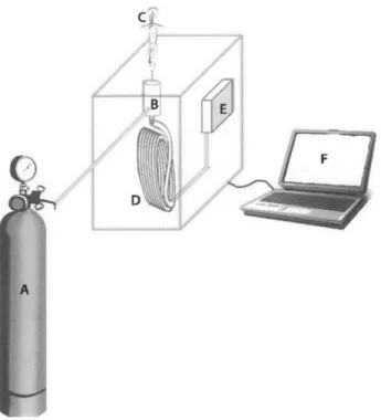 Figure 3.  Basic  components  of a gas chromatograph,  including  the:  (A)  carrier  gas supply, (B)  injection  port,  (C)  microsyringe,  (D)  column,  (E)  detector,  and  (F)  data  acquisition.