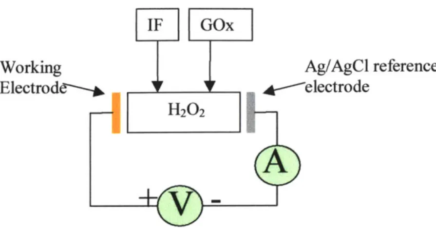 Figure 4.2:  Circuit to detect  amount  of glucose  in IF.