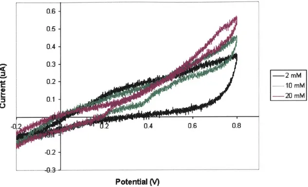 Figure 4.3:  Cyclic  voltammogram  of a hydrogen peroxide  sensitive  electrode  as the concentration  of  H 2 0 2  is  increased.