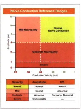 Figure  3-1:  Chart  provided  by  NeuroMetrix  to  be  used  for  clinical  interpretation  of SNAP  amplitude  and  CV  by  recorded  the  NC-Stat  DPNCheck  device  [NeuroMetrix]