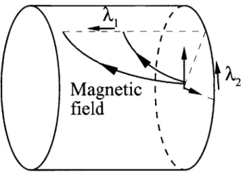 Figure  2-2:  Magnetic  coordinates field.