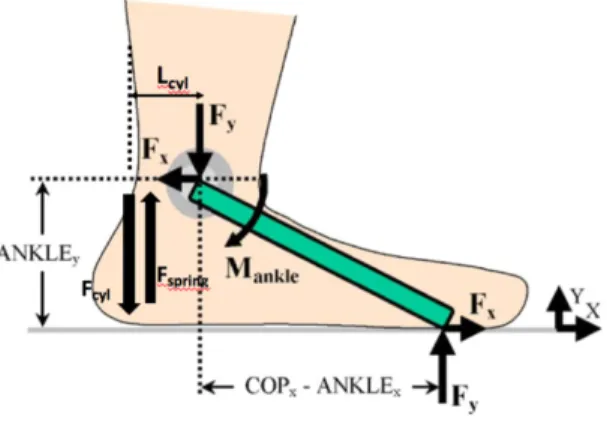 FIGURE 4: FORCES ACTING ON THE ANKLE. 