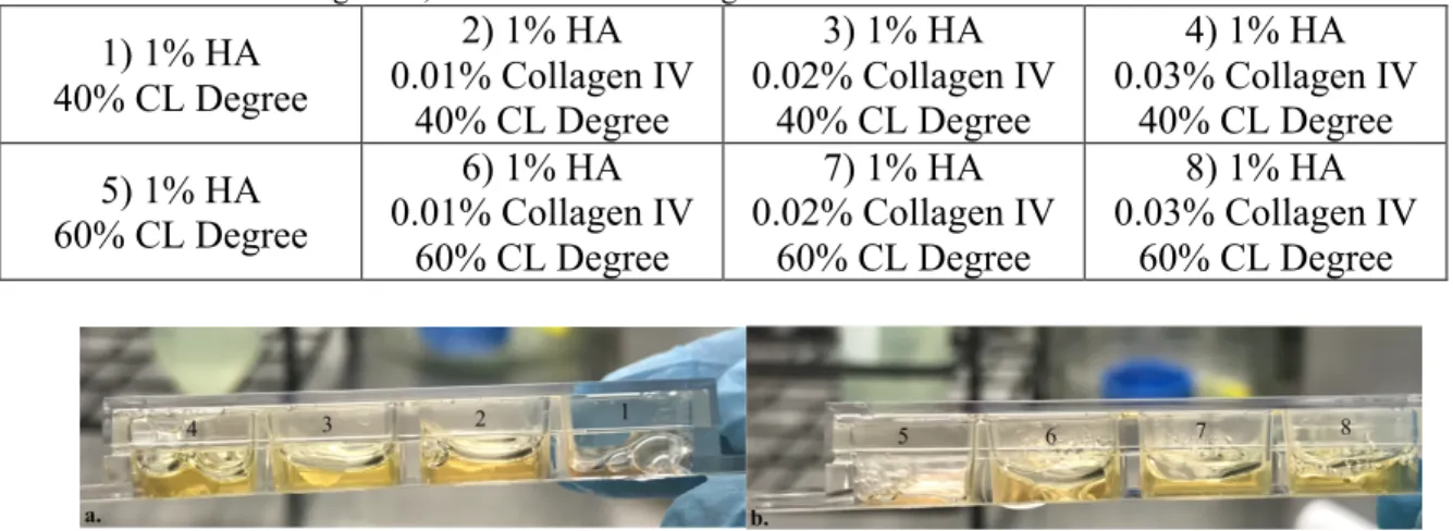 Table 1: Chart of the 8 hydrogels originally made that all have 1 w/v% HA, range from 0-0.03 w/v% 
