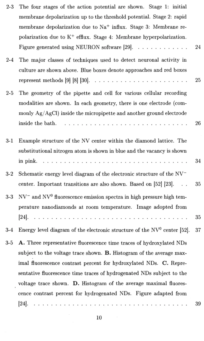 Figure  generated  using  NEURON  software  [29].  . . . . . . . . . . . . 24 2-4  The  major  classes  of  techniques  used  to  detect  neuronal  activity  in