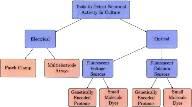 Figure  2-4:  The  major classes  of techniques  used  to  detect  neuronal  activity  in  culture are  shown  above