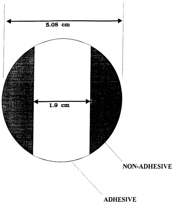 Figure  2.3.  A  banded  surface  with  adhesive (AS)  and  non-adhesive  (NAS)  regimes.