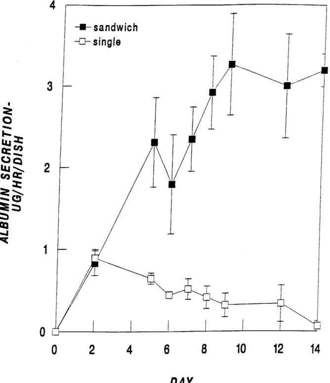 Figure 2.5.  Albumin secretion  of hepatocytes  cultured  in  sandwich  and single gel configurations.