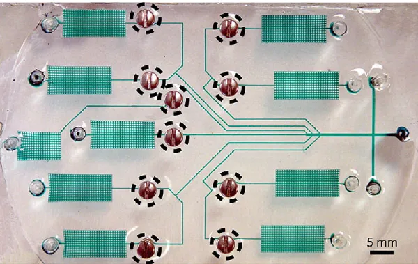 Figure 1-1: Example of a Microfluidic Device: This diagnostic device performs sand- sand-wich immunoassays