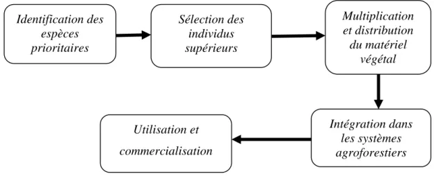 Figure 2 :   Les étapes de la domestication participative des arbres  Source : Simons (1996) 
