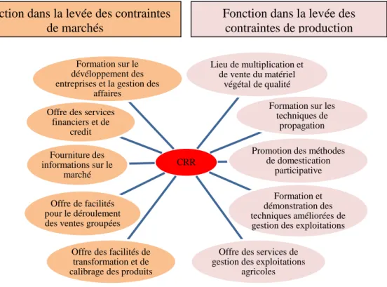 Figure 3 :  Les fonctions des CRR dans la résolution des contraintes de production et  de marché