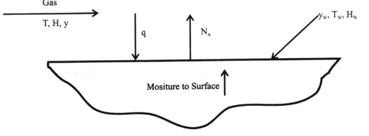 Figure  2.4 shows  the relationship  of drying  to heat  and  mass transfer.