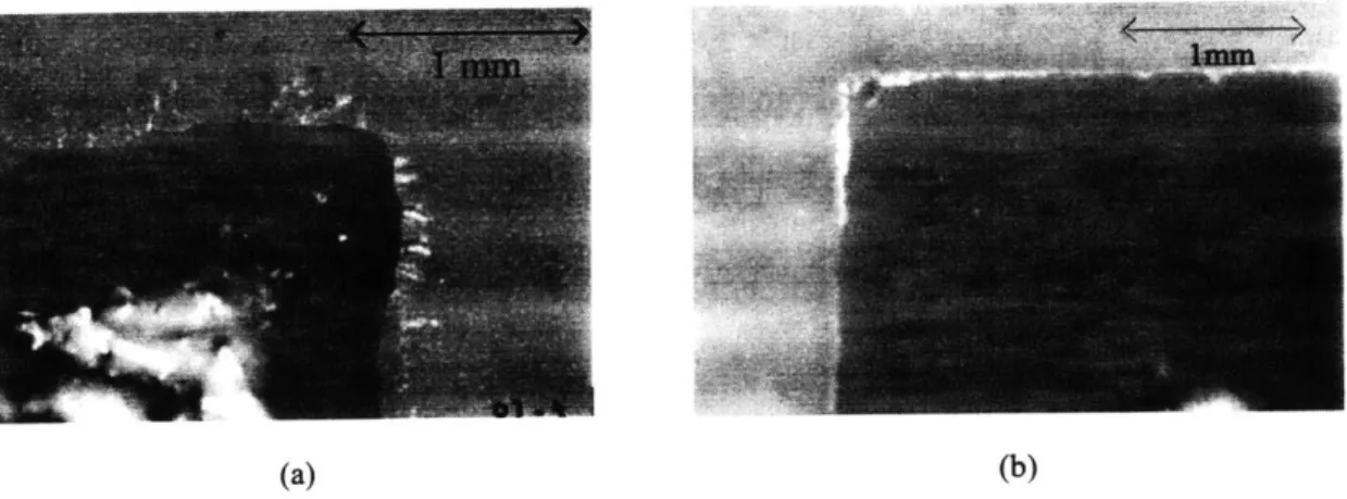 Figure  3.4  Photographs  of gel  prints  which:  (a)  have  experienced  drying,  and  (b)  have  not  experienced drying.
