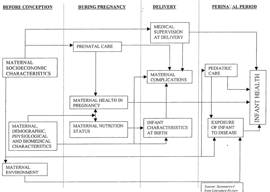 FIGURE I: DETERMINANTS OF MATERNAL AND PERINATAL HEALTH PROBLEMS 