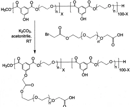 Figure 2.3.  Attachment of the activated PEG  spacer to the backbone polymer  via  the linker hydroxyl.