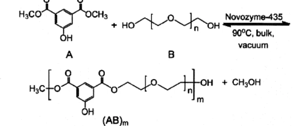 Figure 3.3.  Enzymatic  condensation  using  Novozyme-435  of a  diester and diol to form  a  polyester.