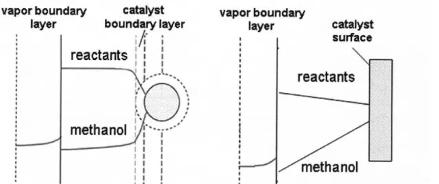Figure 3.5.  Qualitative representation of the condensation profiles  describing the potential  mass transfer limitations in the backbone  condensation  polymerization