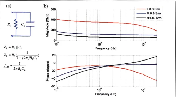 Figure 4-8  The frequency  response  of the parallel electrodes conductivity.