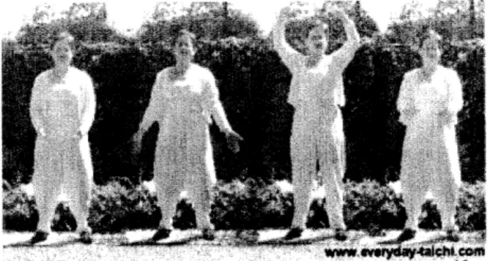 Figure 5:  Tai  Chi  example,  Bridge  over water 17