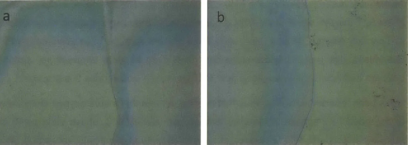 Figure  5.1.2.1  P1  heated  at 175*C  for 4min, and  partially immersed  in a)  726MIF  developer for 1.5min  (right side) and b)  Remover  PG  for 6min  (left side)