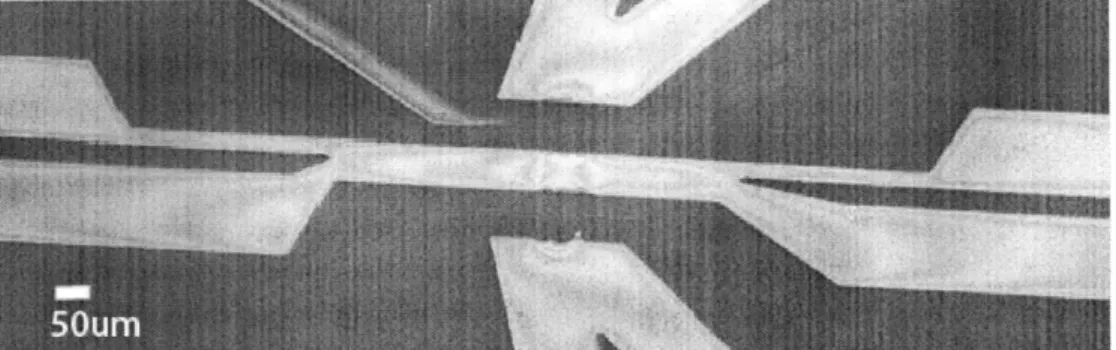 Figure  8a.  Initial device  - the  channel  in the  middle  is the  sample  channel;  it is  connected  to the functionalization  channel  and a set  of hydrophobic  microvalves