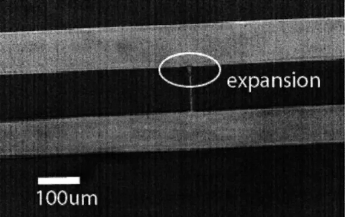 Figure 9.  Two microchannels  are  connected by a  thin 10 micron wide  channel.  The sudden expansion from the thin channel  to the wide  microchannel  constitutes  a  capillary valve for Nafion membrane  formation.