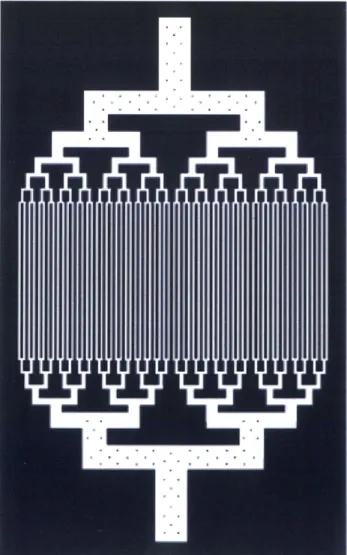 Figure 4.3:  Photolithography template (mask) of microfluidic construct depicted in fig